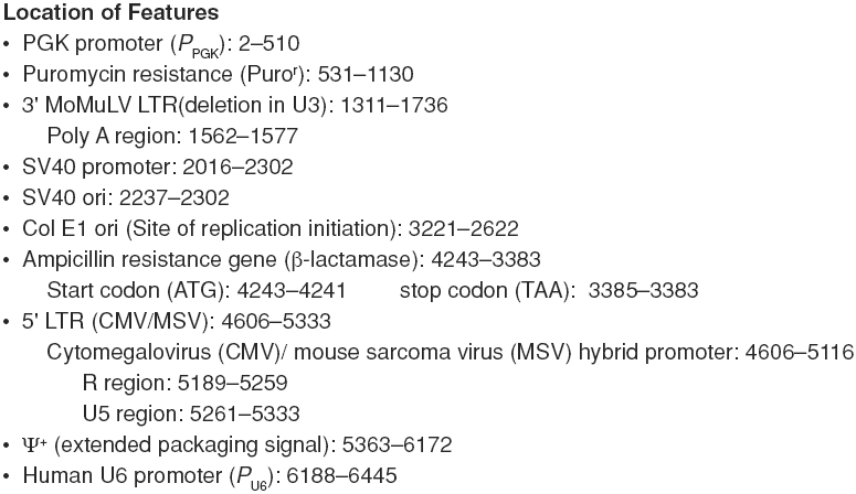RNAi-Ready pSIREN-RetroQ载体特征